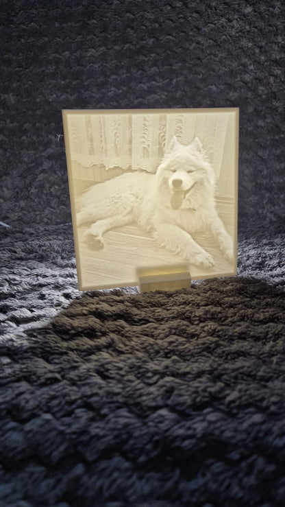 Personalizēta gaismas bilde no Tavas fotogrāfijas - 3D litofānija