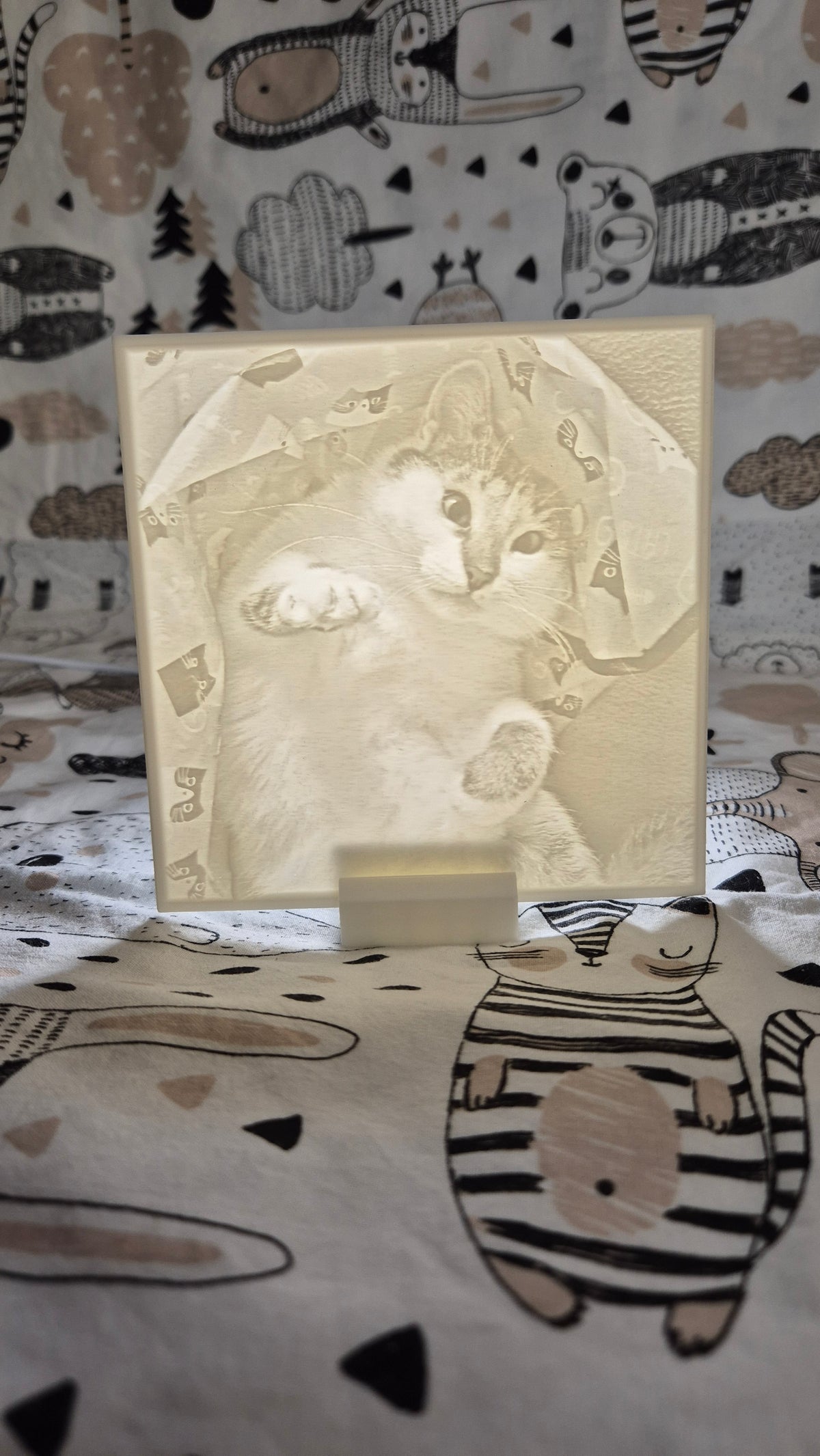 Personalizēta gaismas bilde no Tavas fotogrāfijas - 3D litofānija